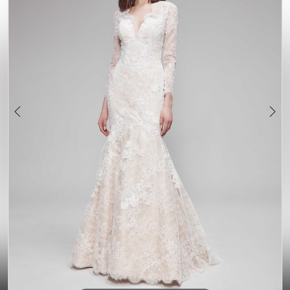 BLUE WILLOW BY ANNE BARGE—Elijay